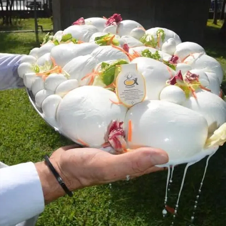 logo mozzarella campana